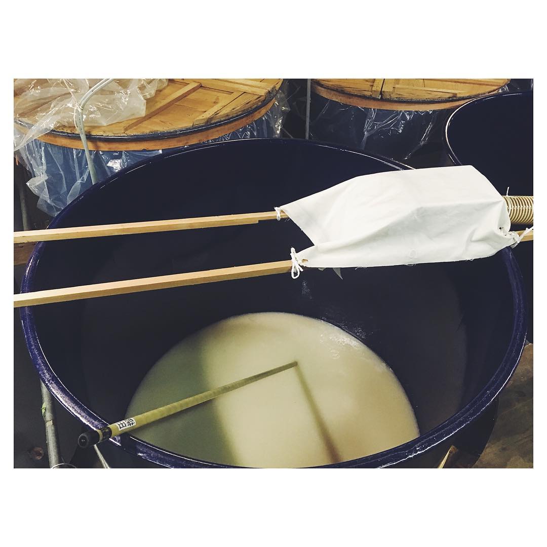 おはようございます！
ぷくぷく
ぱちぱち
ぽこぽこ
今日も元気に醗酵しています！！
香りもほんのりまた甘くて爽やか〜頑張ってくれてます。
可愛いやつらなんです！
...
と褒めながら頑張って働いてもらうことを祈ります！